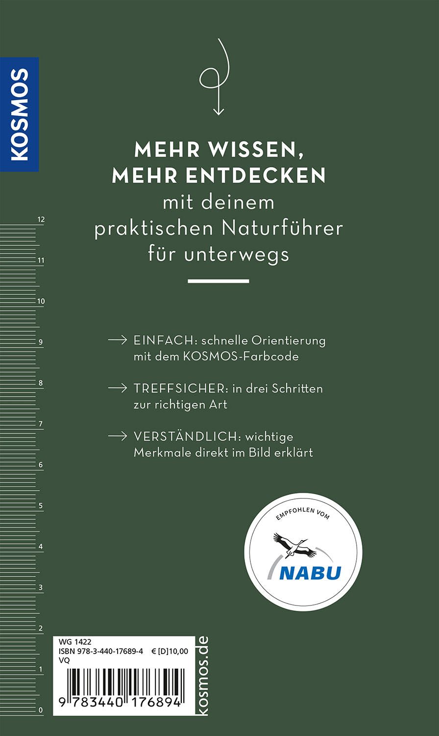 kosmos-basic-greifv-gel-und-eulen-naturf-hrer image 2