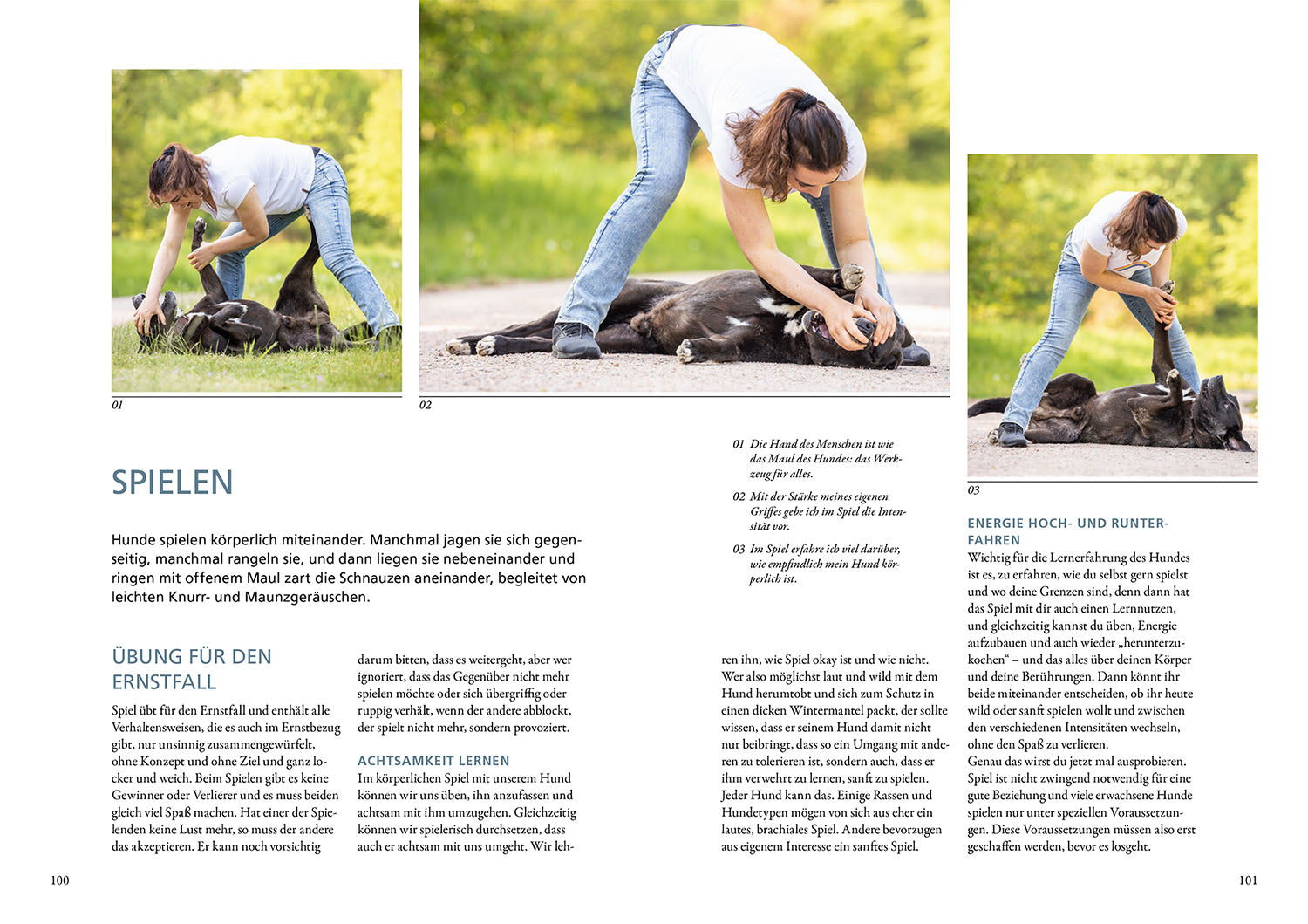 kosmos-hunde-f-hlen-und-anleiten-buch-maren-grote-kontakt image 5