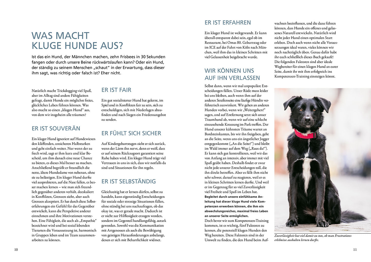kate-kitchenham-die-10-kompetenzen-f-r-hunde-buch-ratgeber image 3