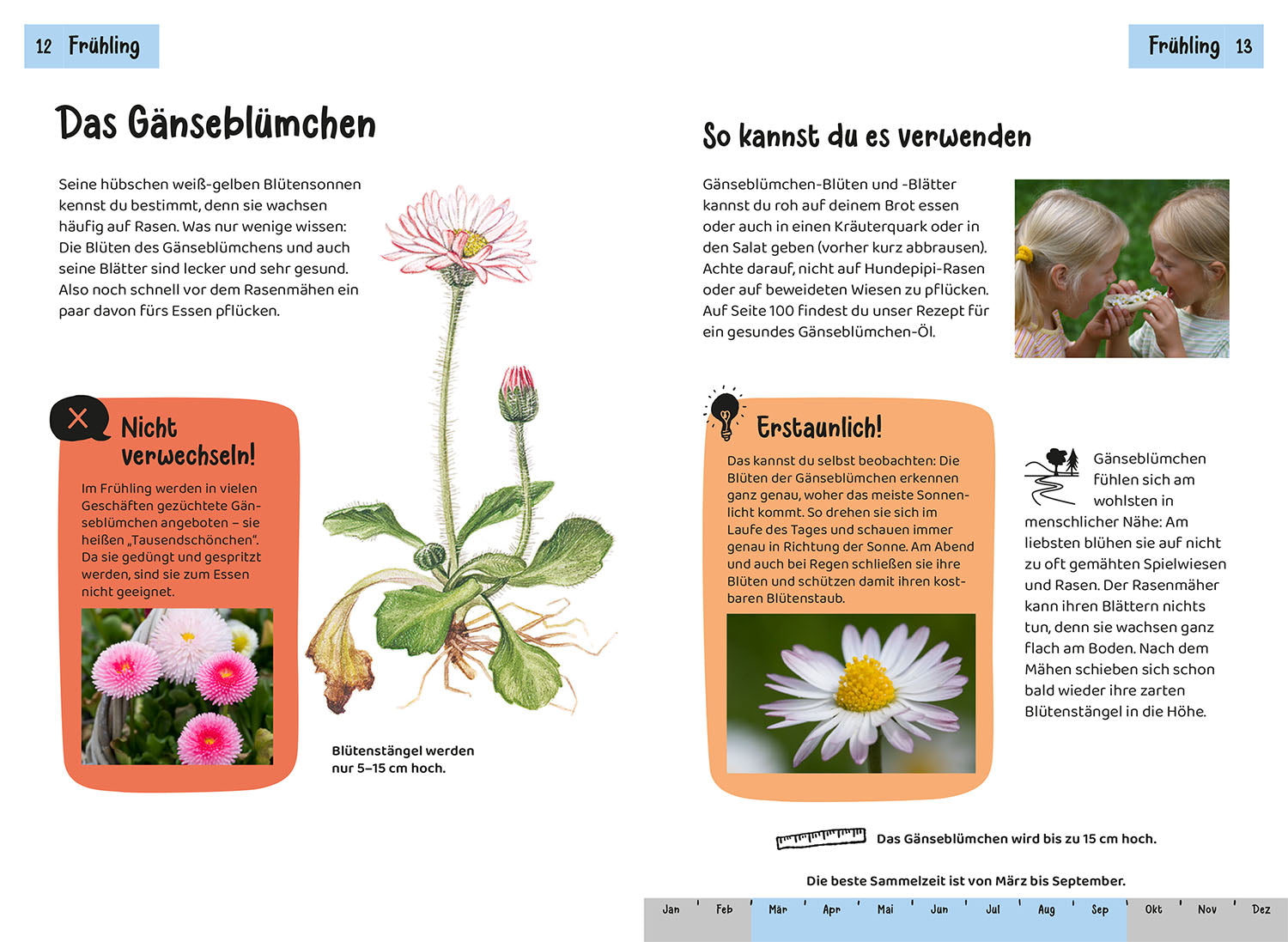 kosmos-welche-essbare-pflanze-ist-das-kindernaturf-hrer-ab-8-2 image 3