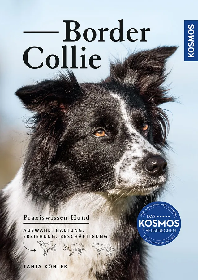 border-collie-ratgeber-e-book-haltung-erziehung image 1