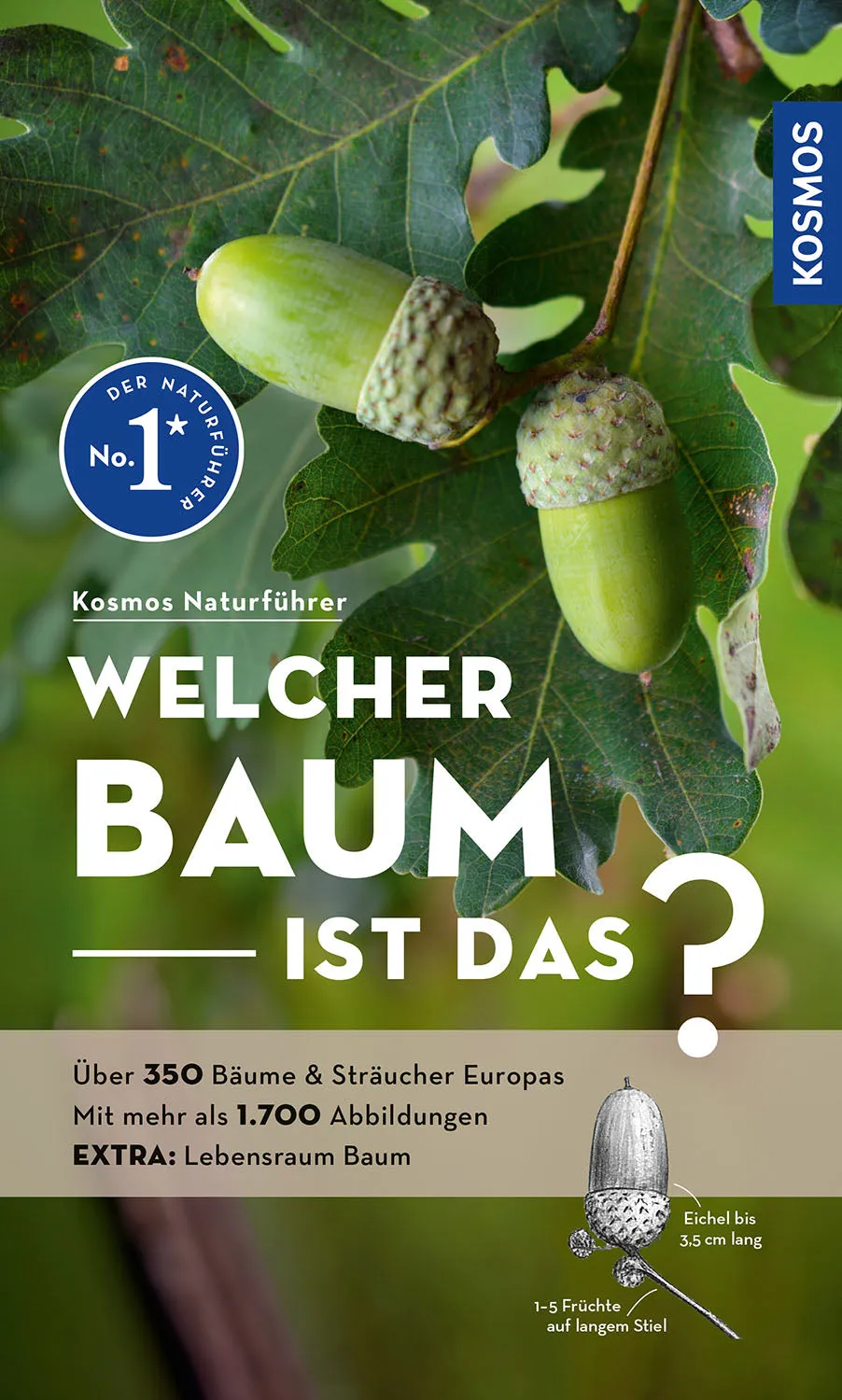kosmos-welcher-baum-ist-das-baumf-hrer-272-seiten image 1