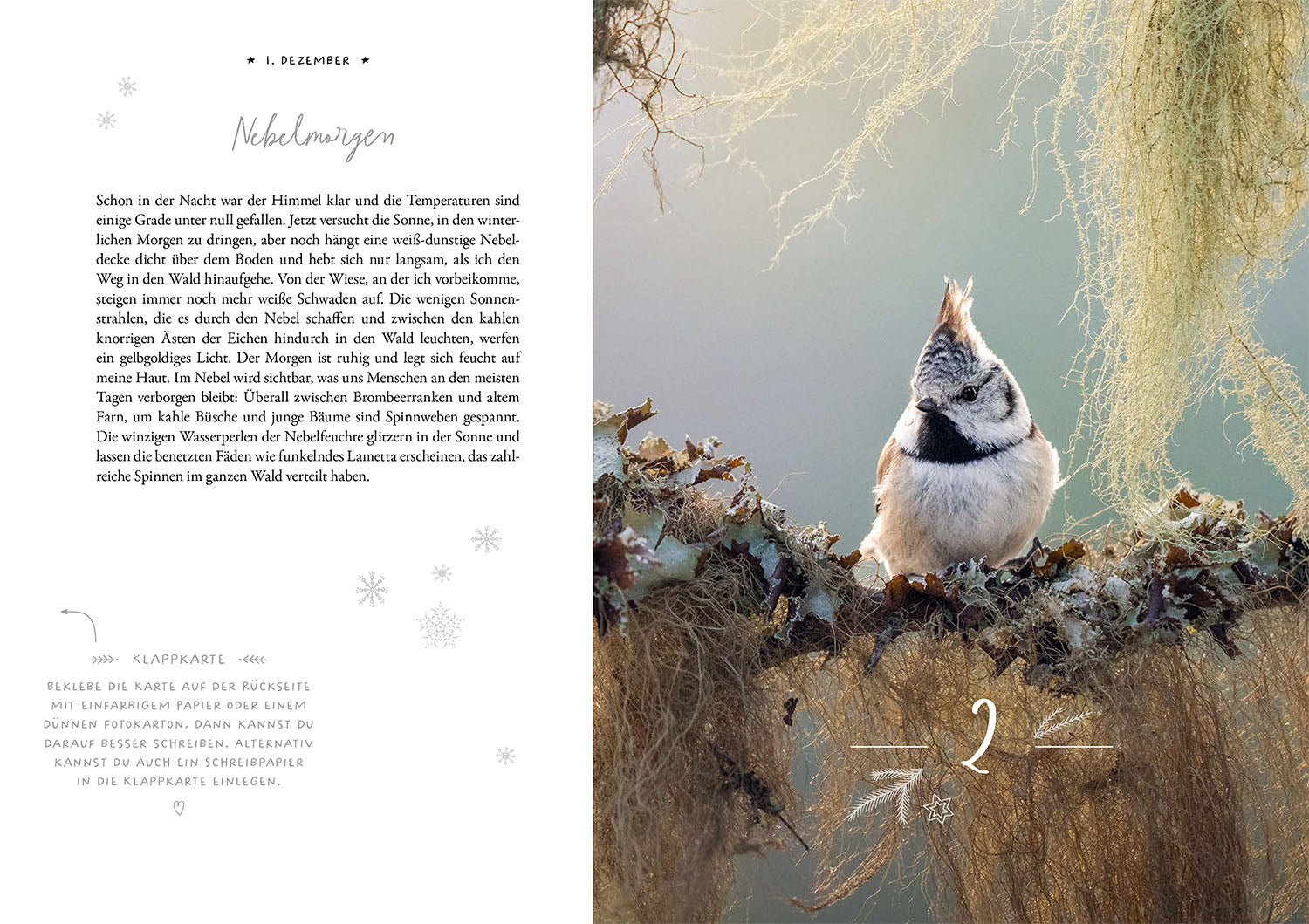 kosmos-winter-moments-in-nature-adventskalender-buch image 3