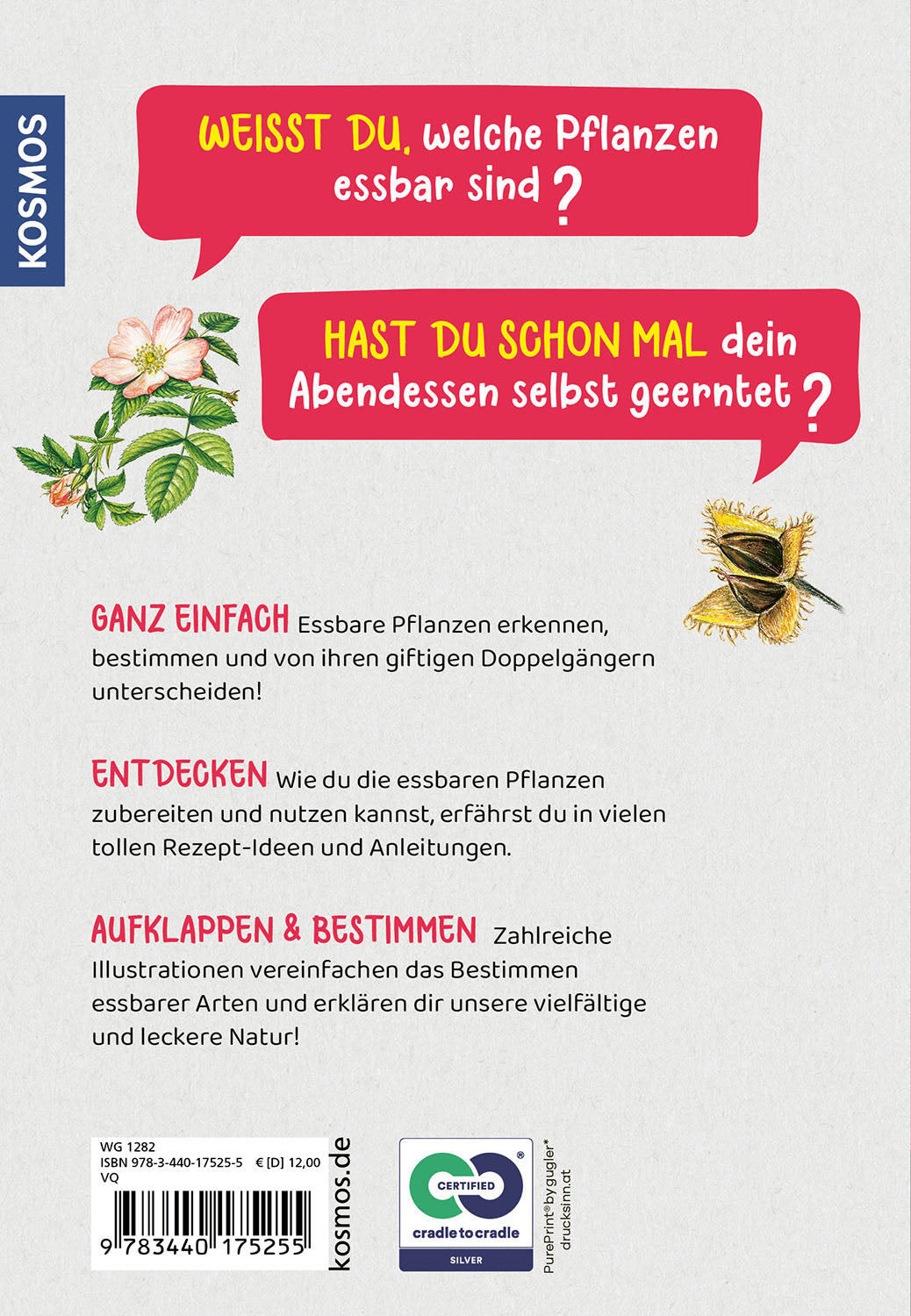 kosmos-welche-essbare-pflanze-ist-das-kindernaturf-hrer-ab-8-2 image 2