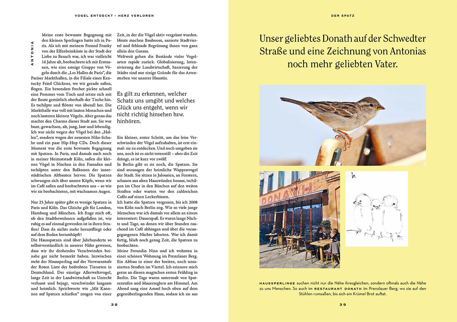 vogel-entdeckt-herz-verloren-vogelbuch-urban-birding image 4