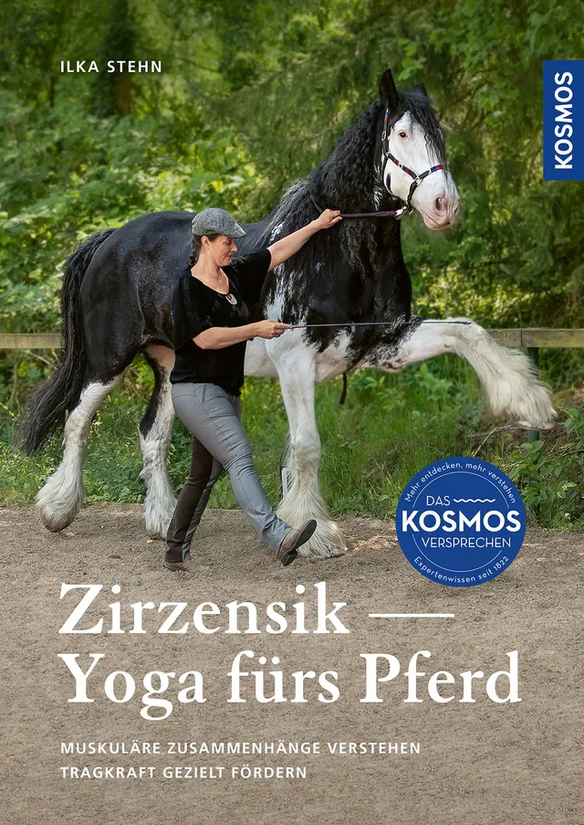 kosmos-zirzensik-yoga-f-rs-pferd-ratgeber-bodenarbeit image 1