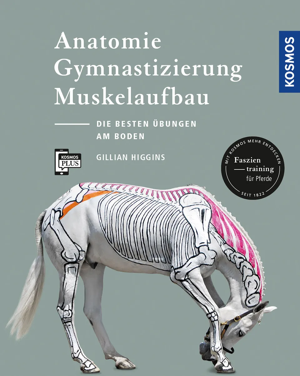 kosmos-anatomie-gymnastizierung-muskelaufbau-pferd-digital image 1