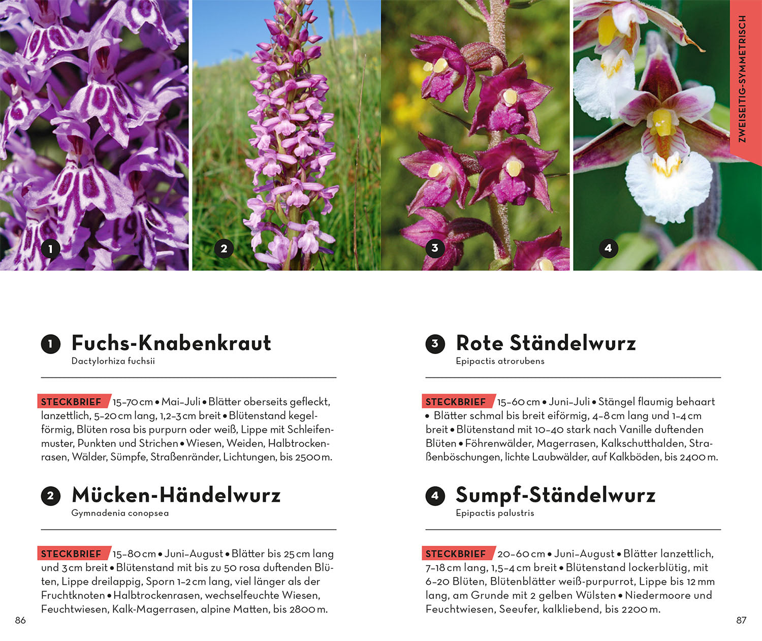kosmos-basic-alpenblumen-naturf-hrer-taschenformat image 5