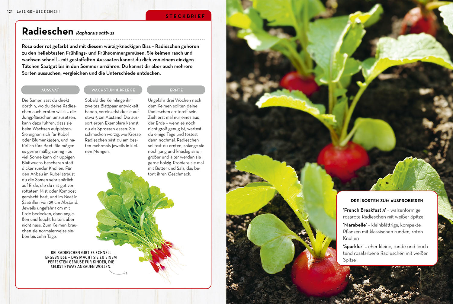 kosmos-samenwunder-gartenbuch-aussaat-blumen-gem-se-diy image 6