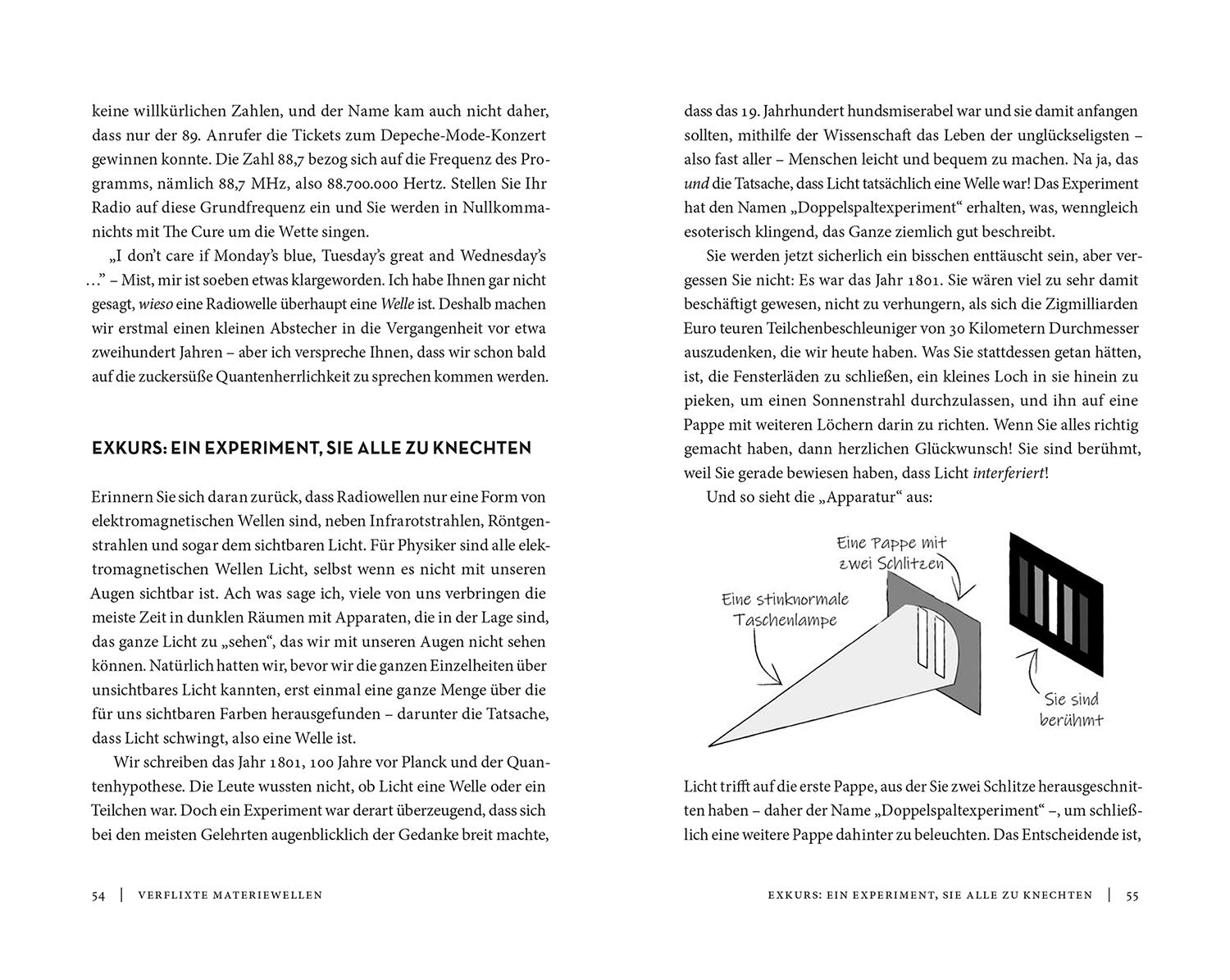 kosmos-quanten-bullshit-chris-ferrie-sachbuch-physik image 4