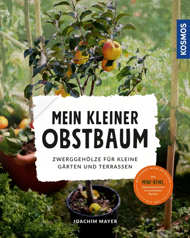 adventure-games-digital-mein-kleiner-obstbaum-ratgeber-minigarten image 1
