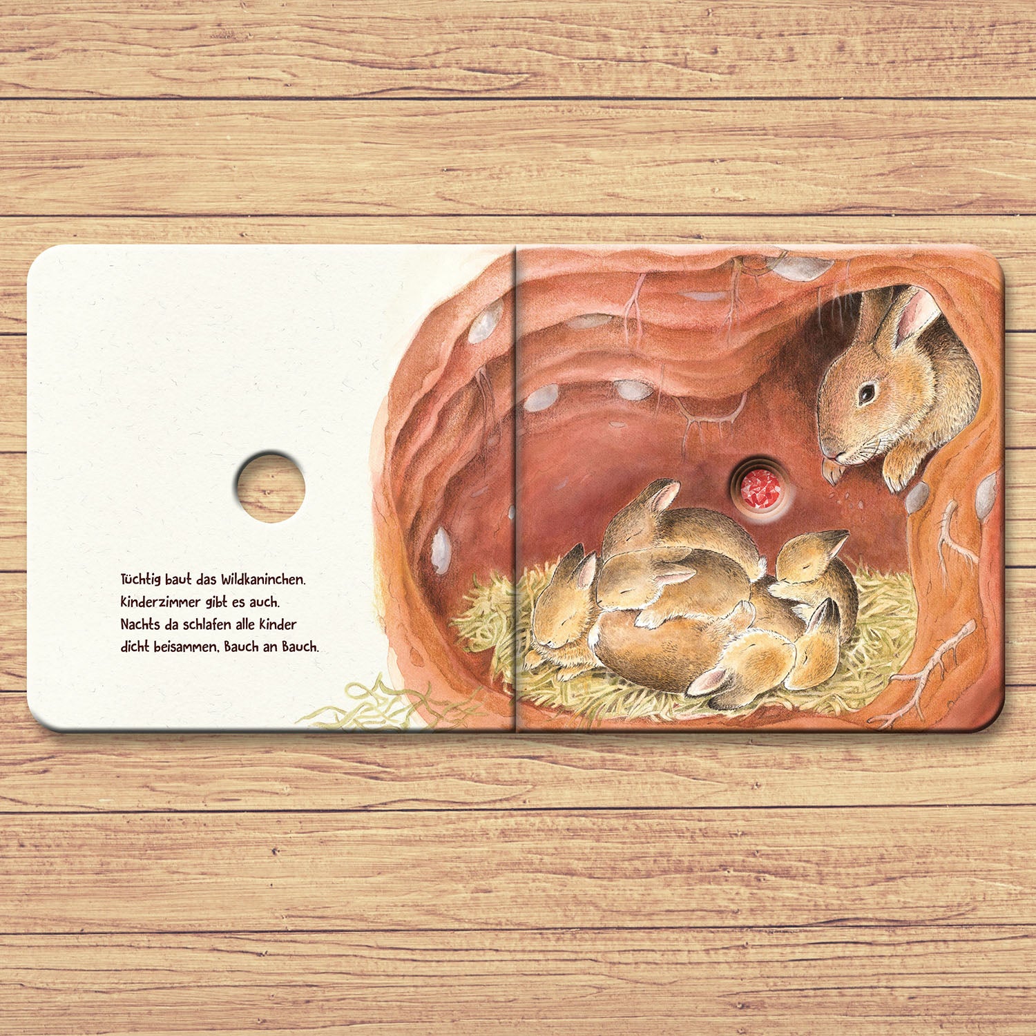 kosmos-guck-mal-unter-die-erde-bilderbuch-mit-l-chern image 3