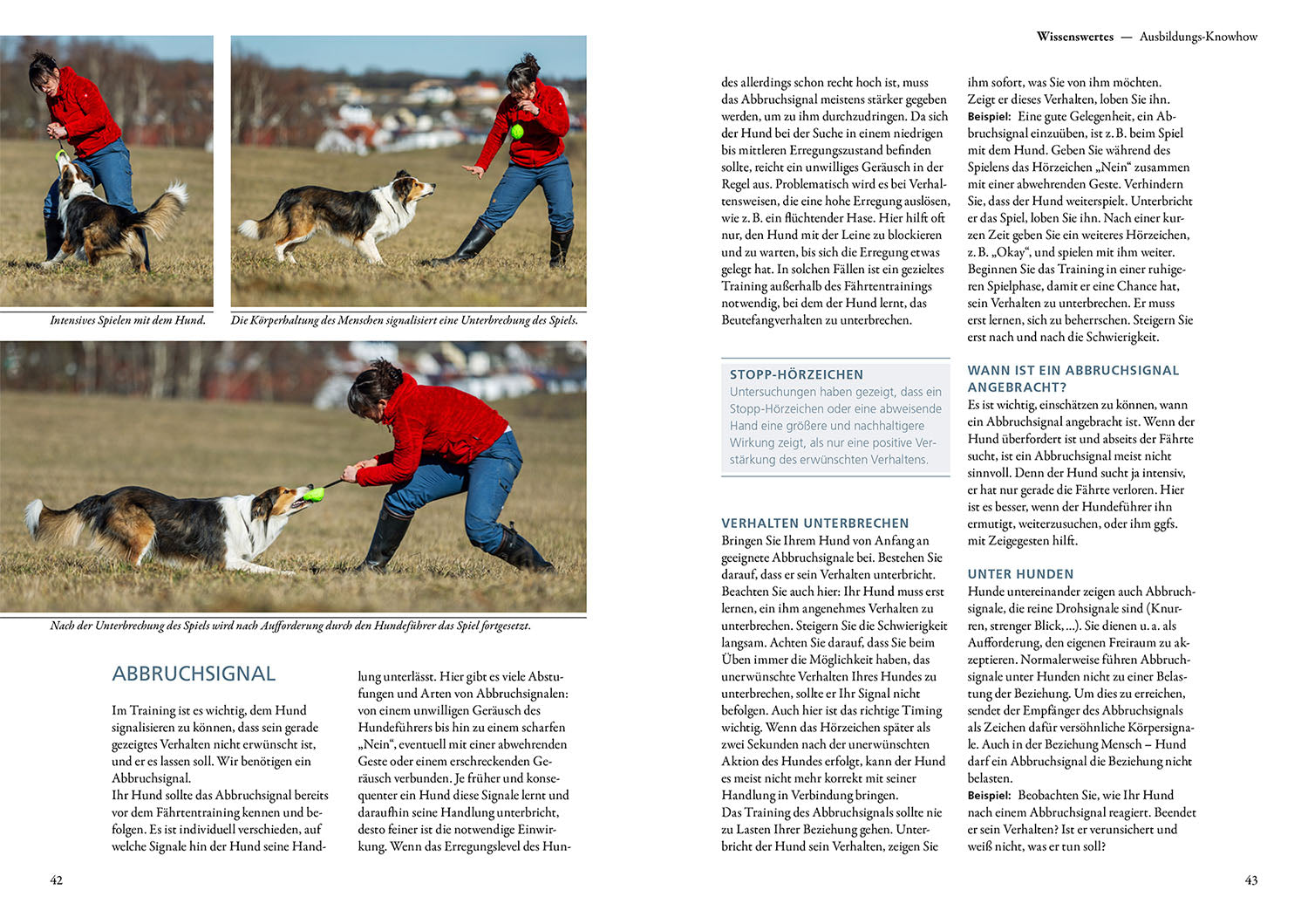 kosmos-trainingsbuch-f-hrtenarbeit-buch-hundesport-motivation image 4