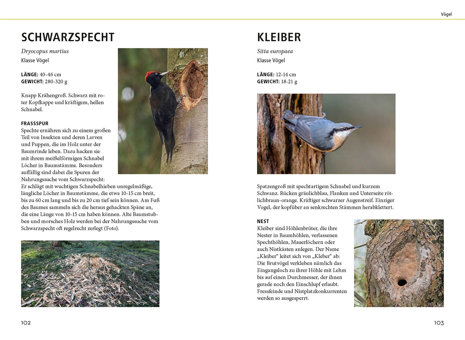 kosmos-tierspuren-lebensgro-buch-naturf-hrer-75-tiere image 6