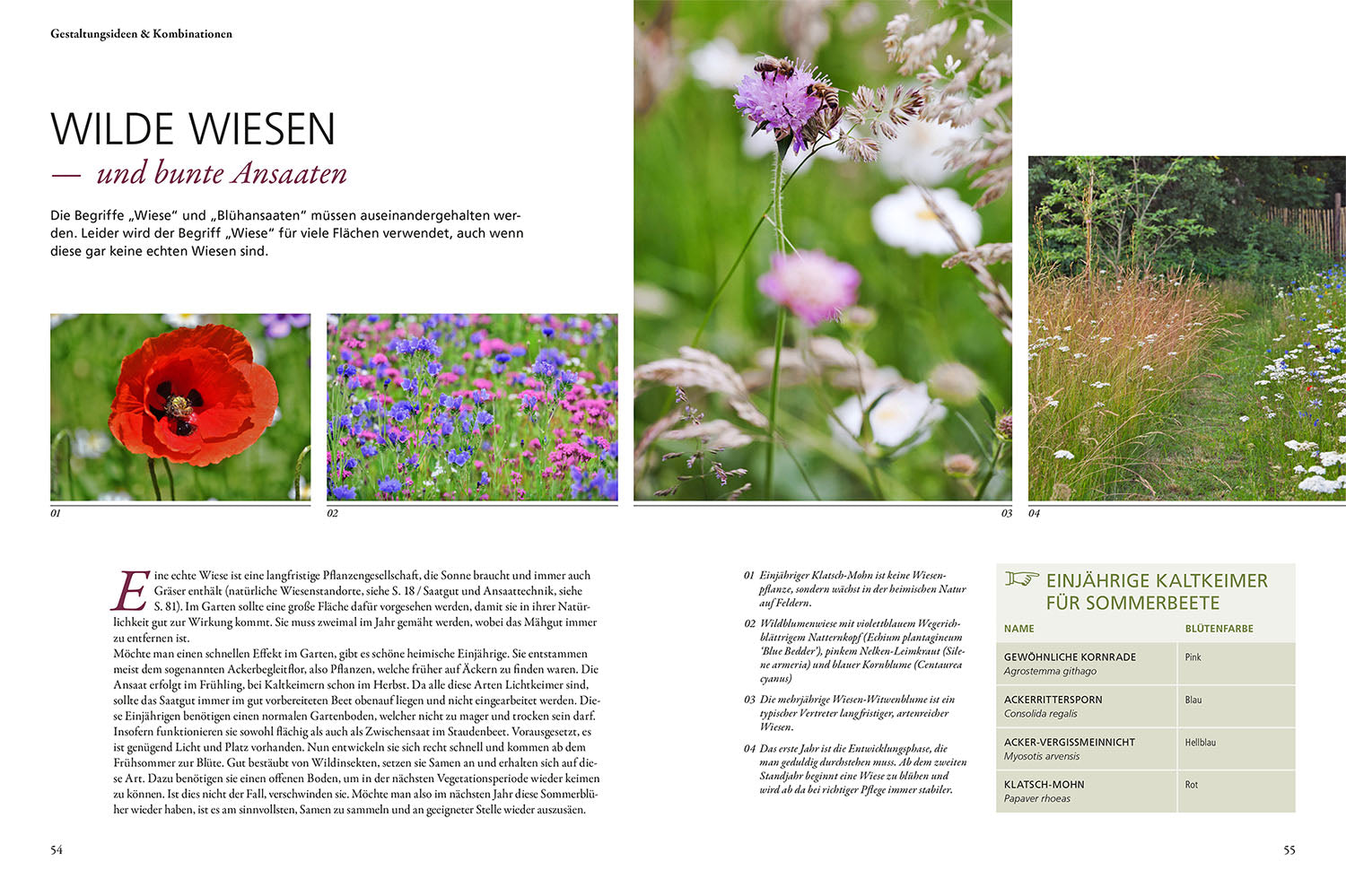 kosmos-wild-bunt-gartenbuch-tierfreundlicher-garten image 4