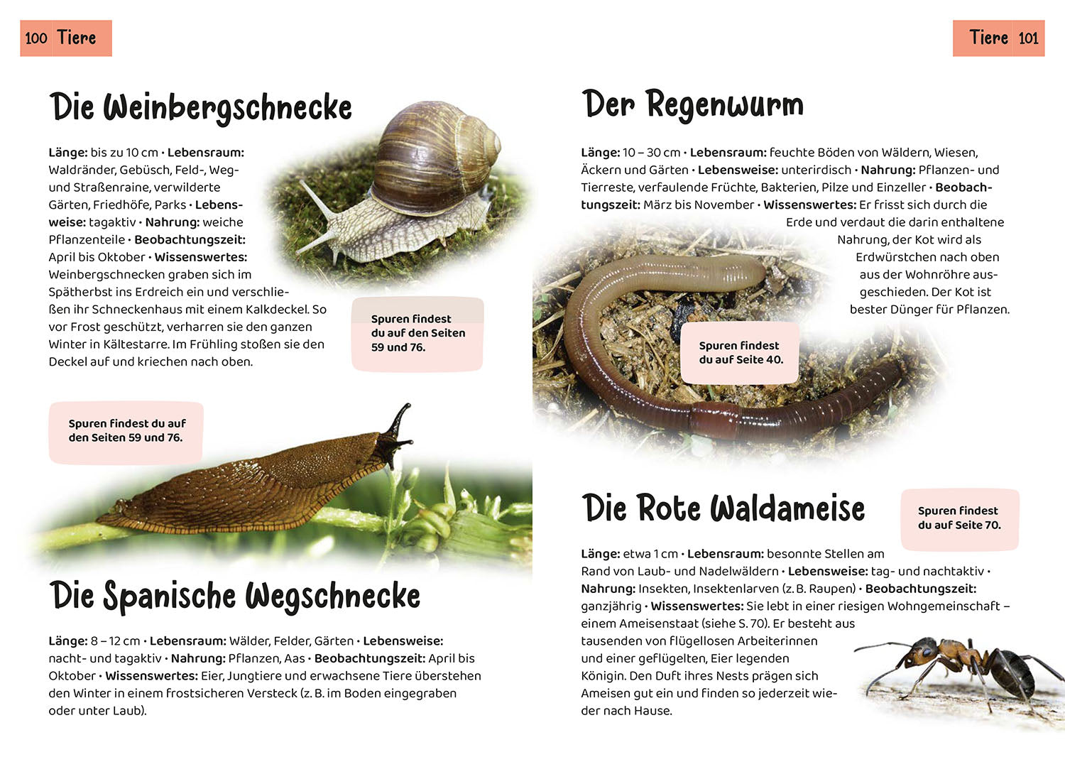 kosmos-welche-tierspur-ist-das-kindernaturf-hrer-200-spuren image 6