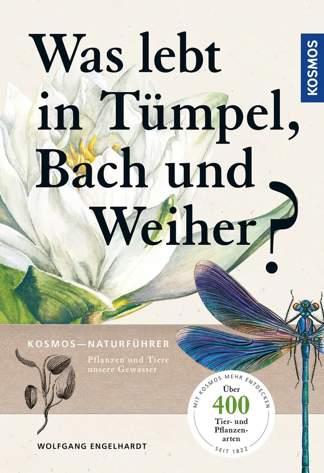 kosmos-was-lebt-in-t-mpel-bach-weiher-gew-sserf-hrer-400-arten image 1