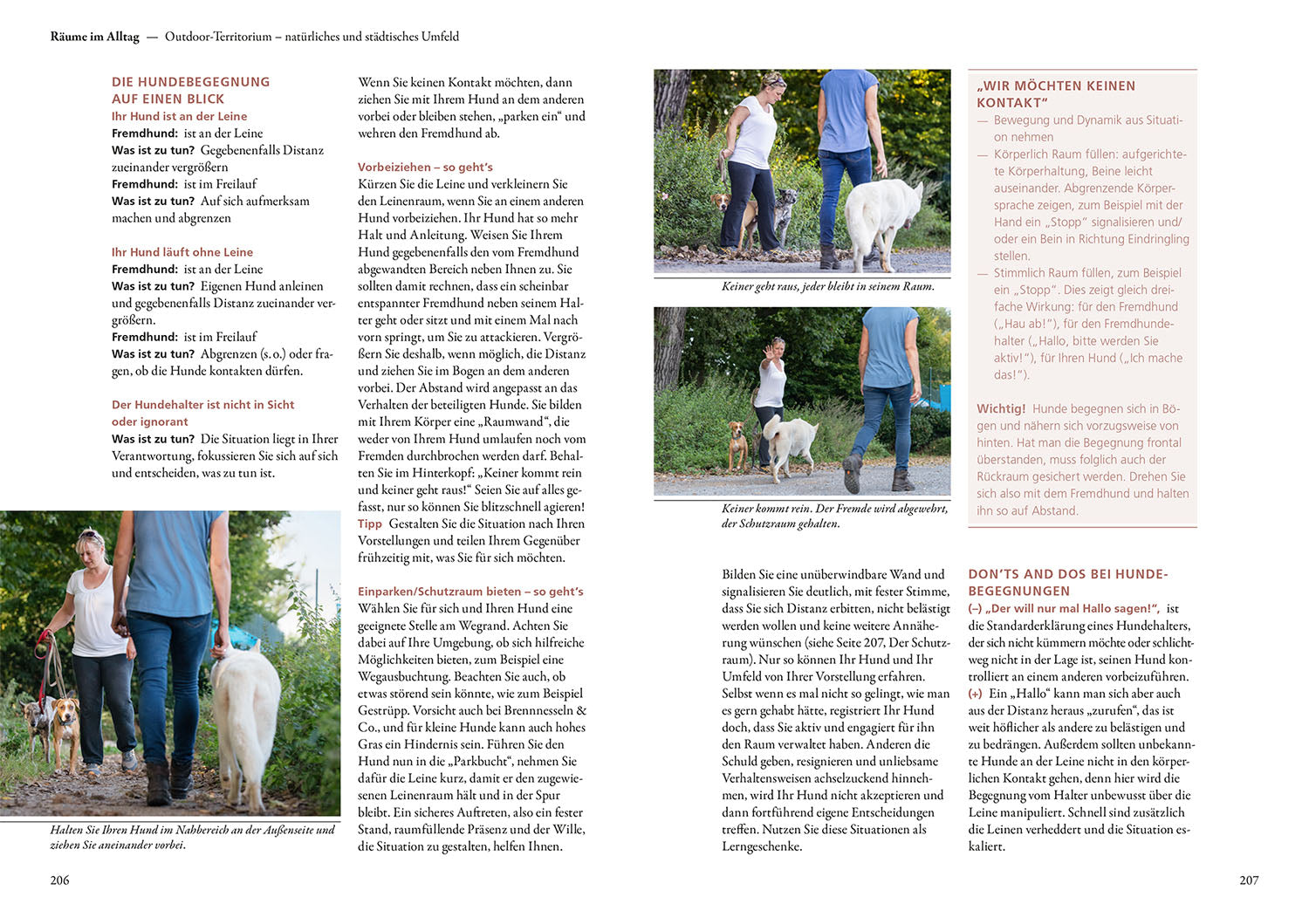 kosmos-raumdenken-in-der-hundeerziehung-ratgeber-hund image 6