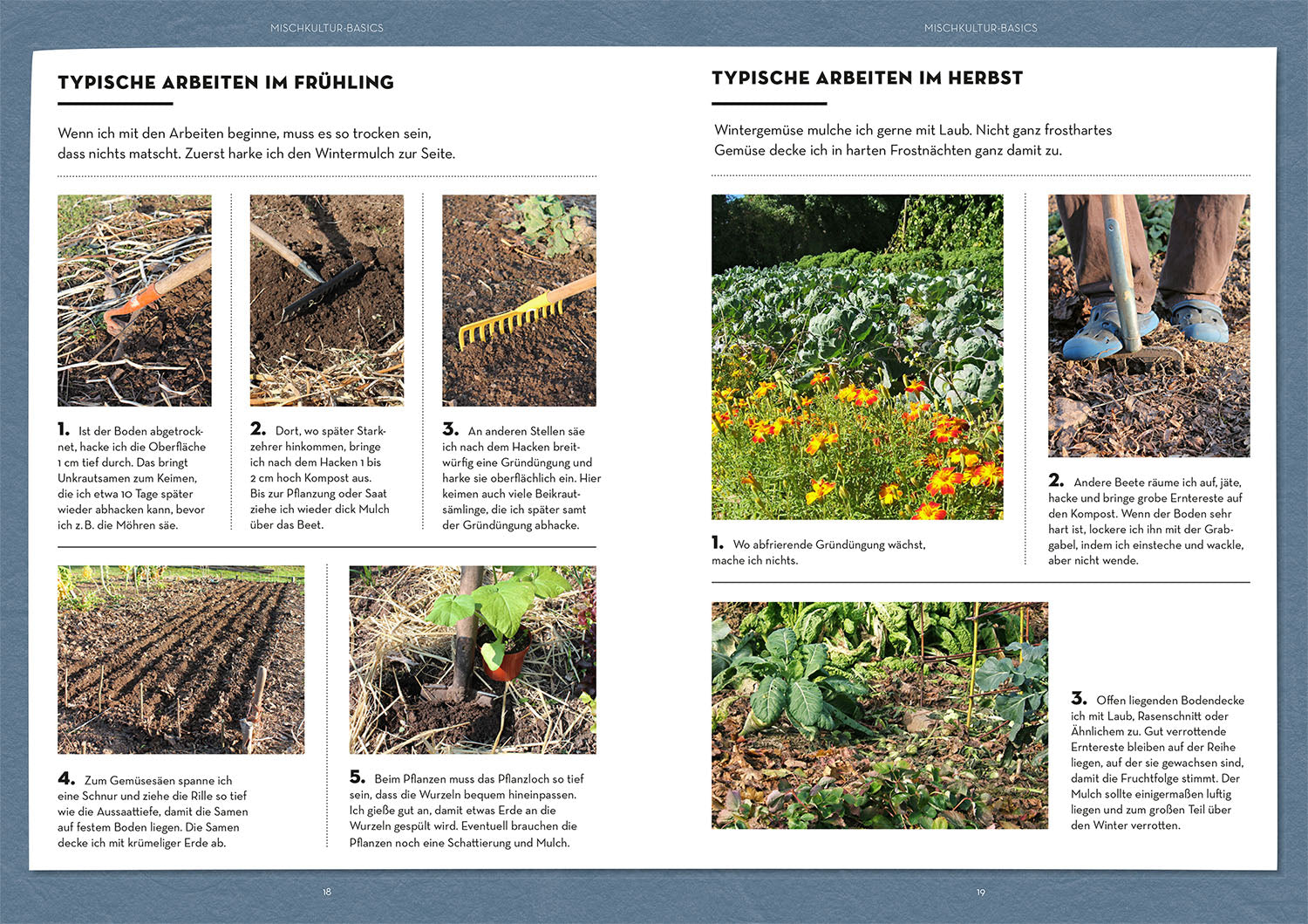 kosmos-wer-kann-mit-wem-im-beet-mischkultur-gartenbuch image 4