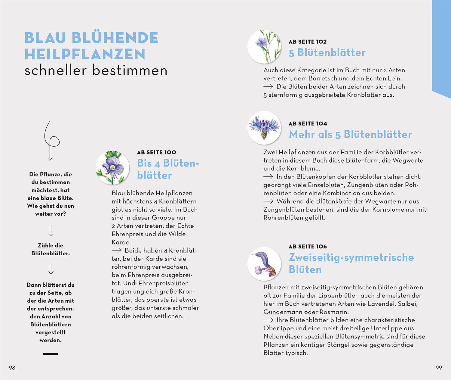 basic-heilpflanzen-naturf-hrer-100-heilkr-uter-buch image 6