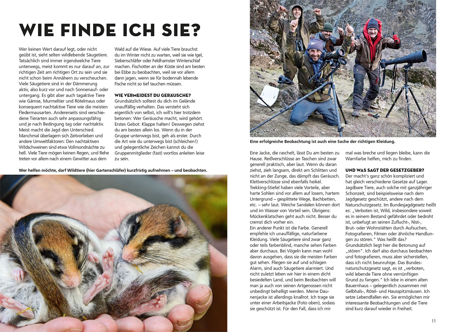 kosmos-die-siehst-du-naturf-hrer-s-ugetiere-buch image 3