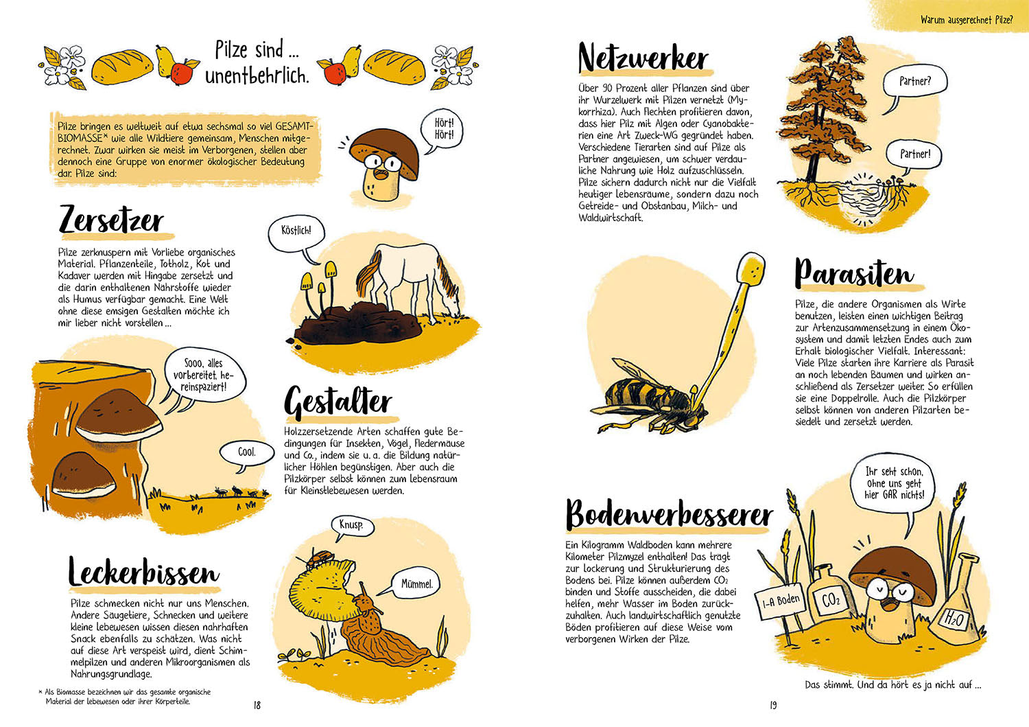 kosmos-pilze-f-r-ahnungslose-buch-mykologie-einsteiger image 3