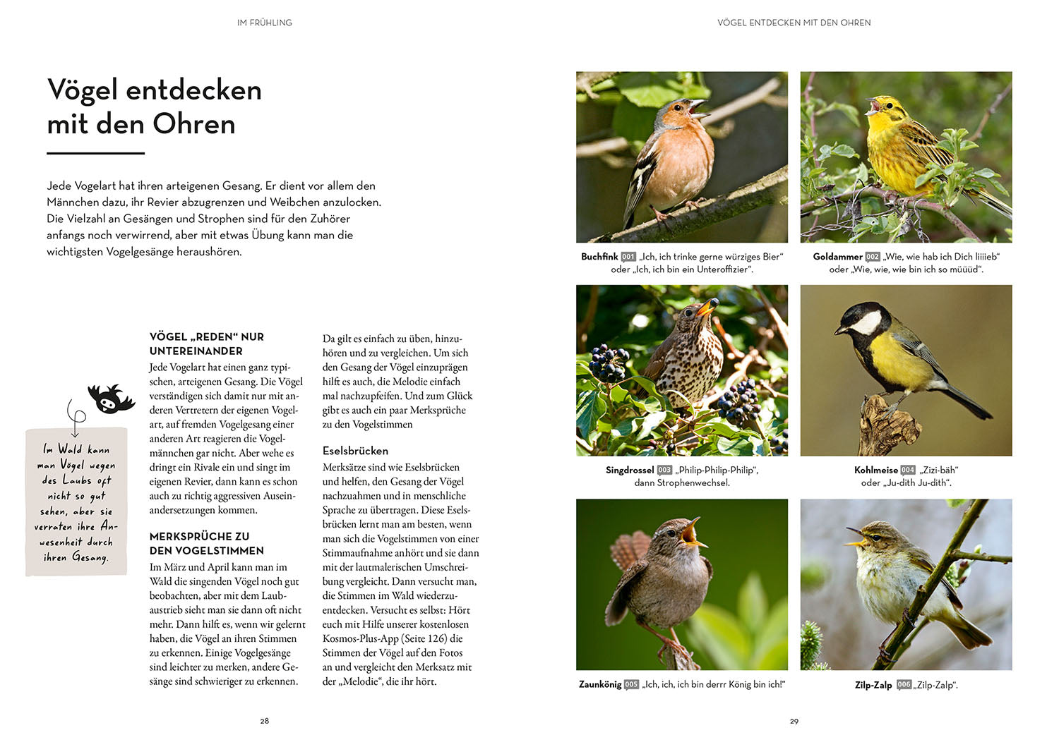 kosmos-waldgl-ck-buch-mitmach-ratgeber-familie-natur-outdoor image 4