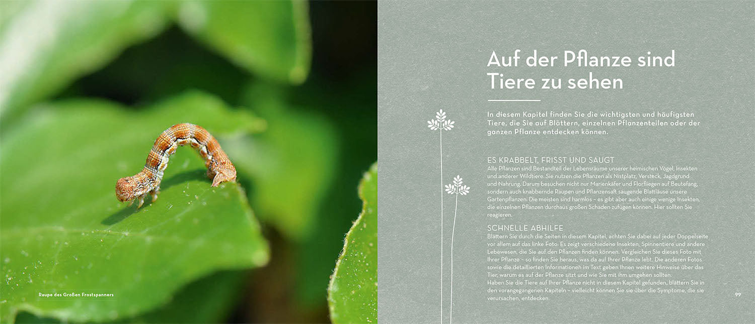 adventure-games-b-cher-bist-du-noch-zu-retten-ratgeber-pflanzen image 6