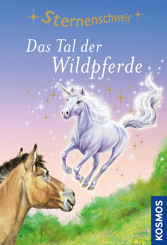 die-zauberkicker-sternenschweif-64-tal-der-wildpferde-ebook-pferde image 1