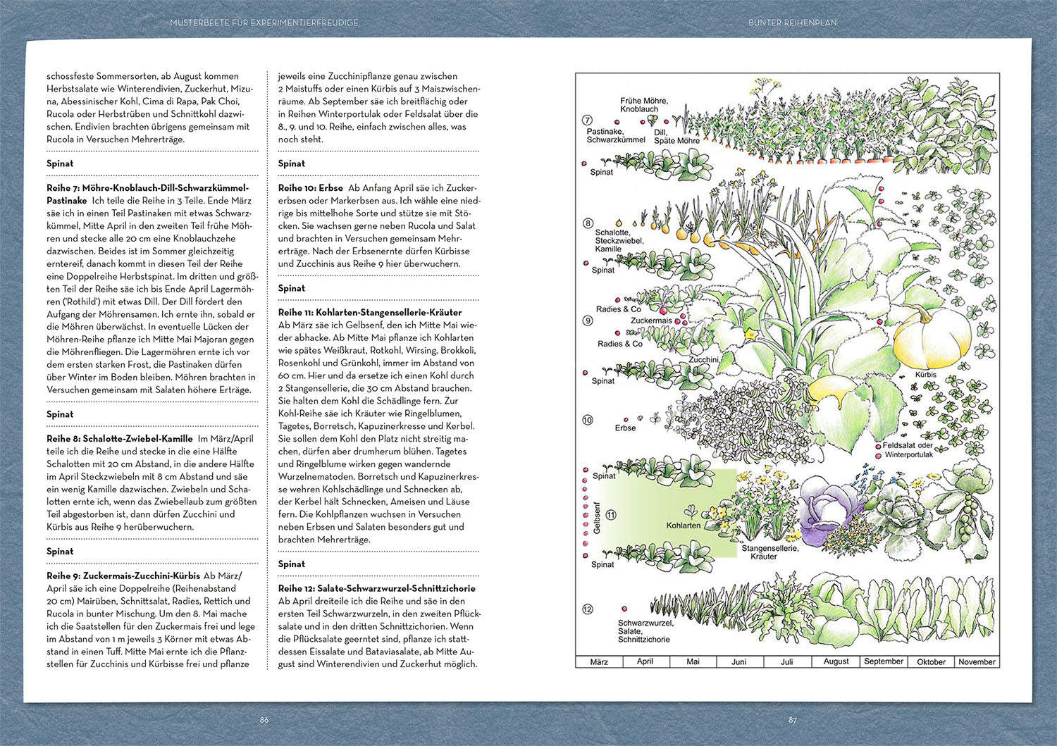 kosmos-wer-kann-mit-wem-im-beet-mischkultur-gartenbuch image 6