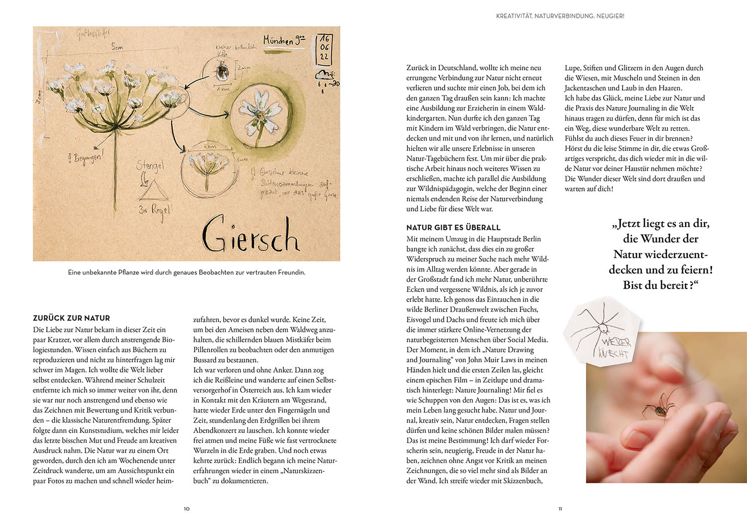 kosmos-nature-journaling-ratgeber-naturtagebuch-entdecken image 3
