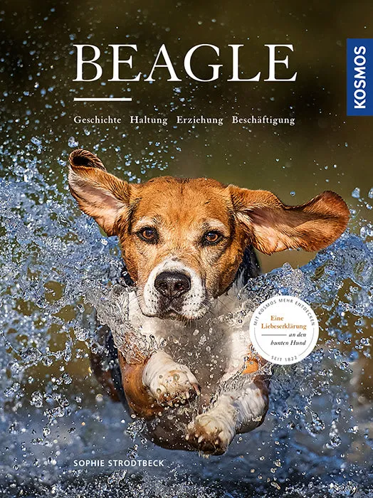 adventure-games-digital-beagle-ebook-hundeerziehung-standard image 1