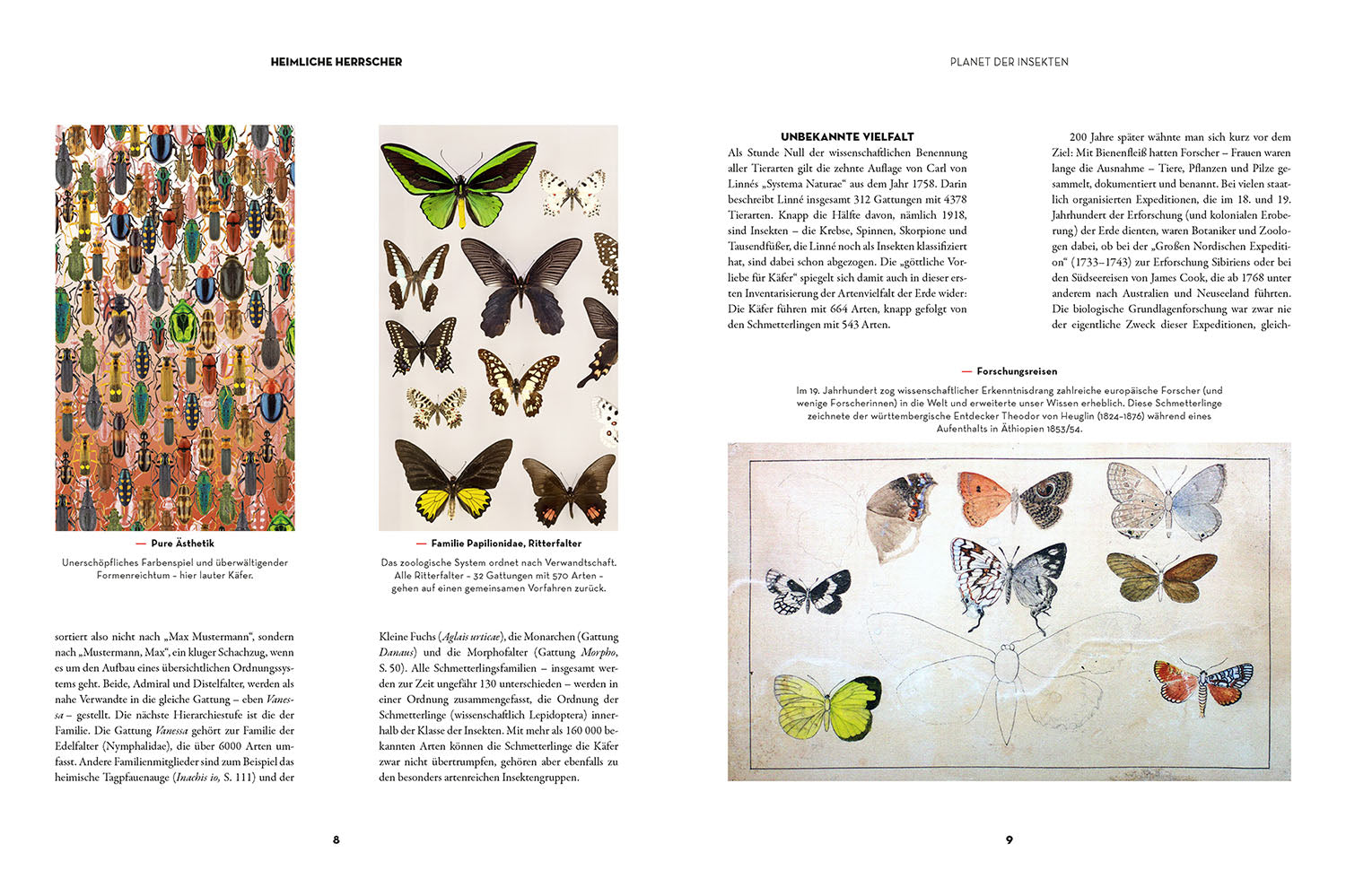 kosmos-insekten-heimliche-herrscher-buch-natur-mit-bildern image 3