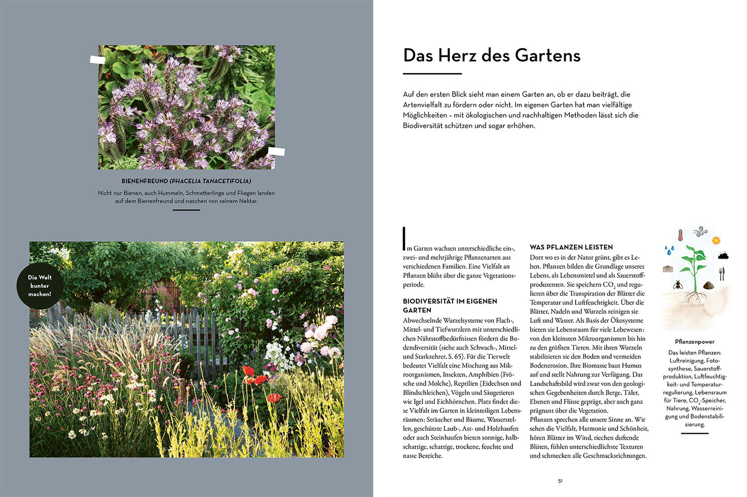 kosmos-wenn-nicht-jetzt-wann-dann-gartenbuch-nachhaltig image 4