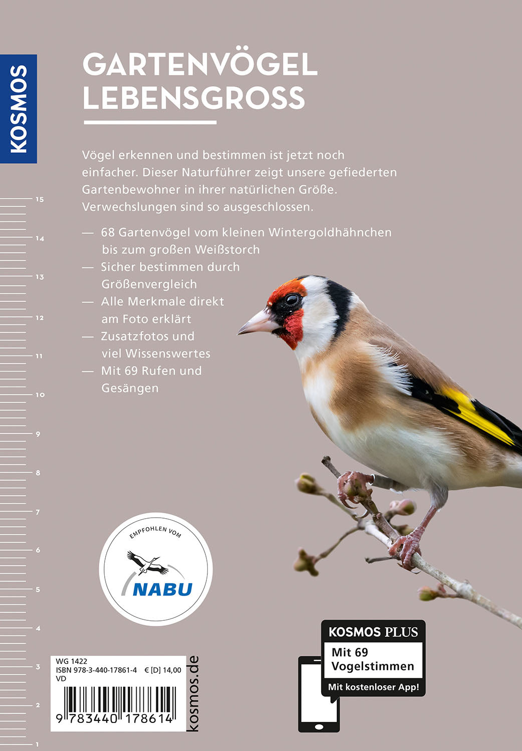 kosmos-gartenv-gel-lebensgro-buch-68-arten-naturf-hrer image 2