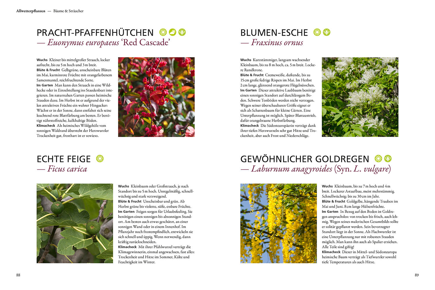 kosmos-berlebensk-nstler-buch-garten-klimawandel image 6