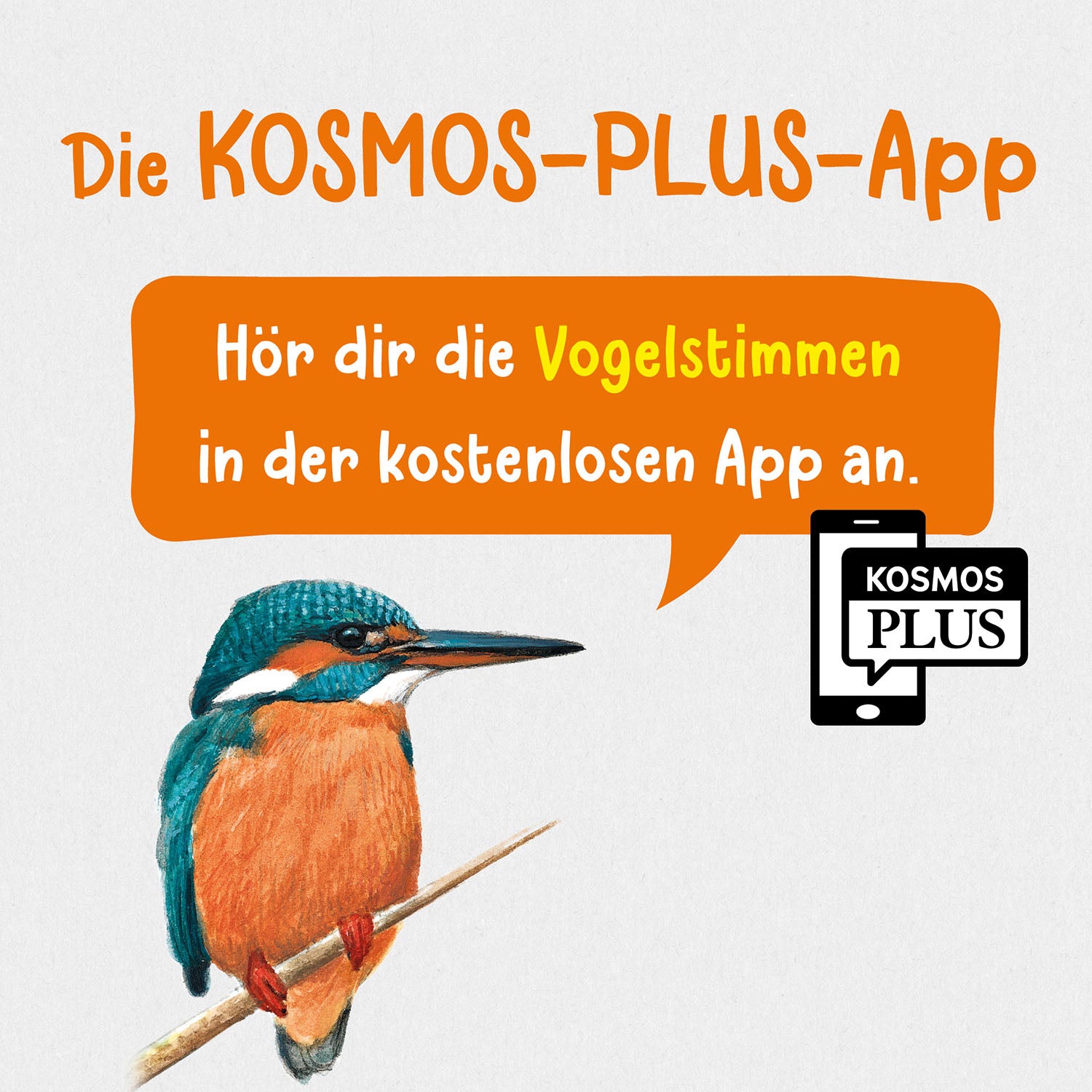 kosmos-welcher-gartenvogel-ist-das-kindernaturf-hrer-mit-app image 7