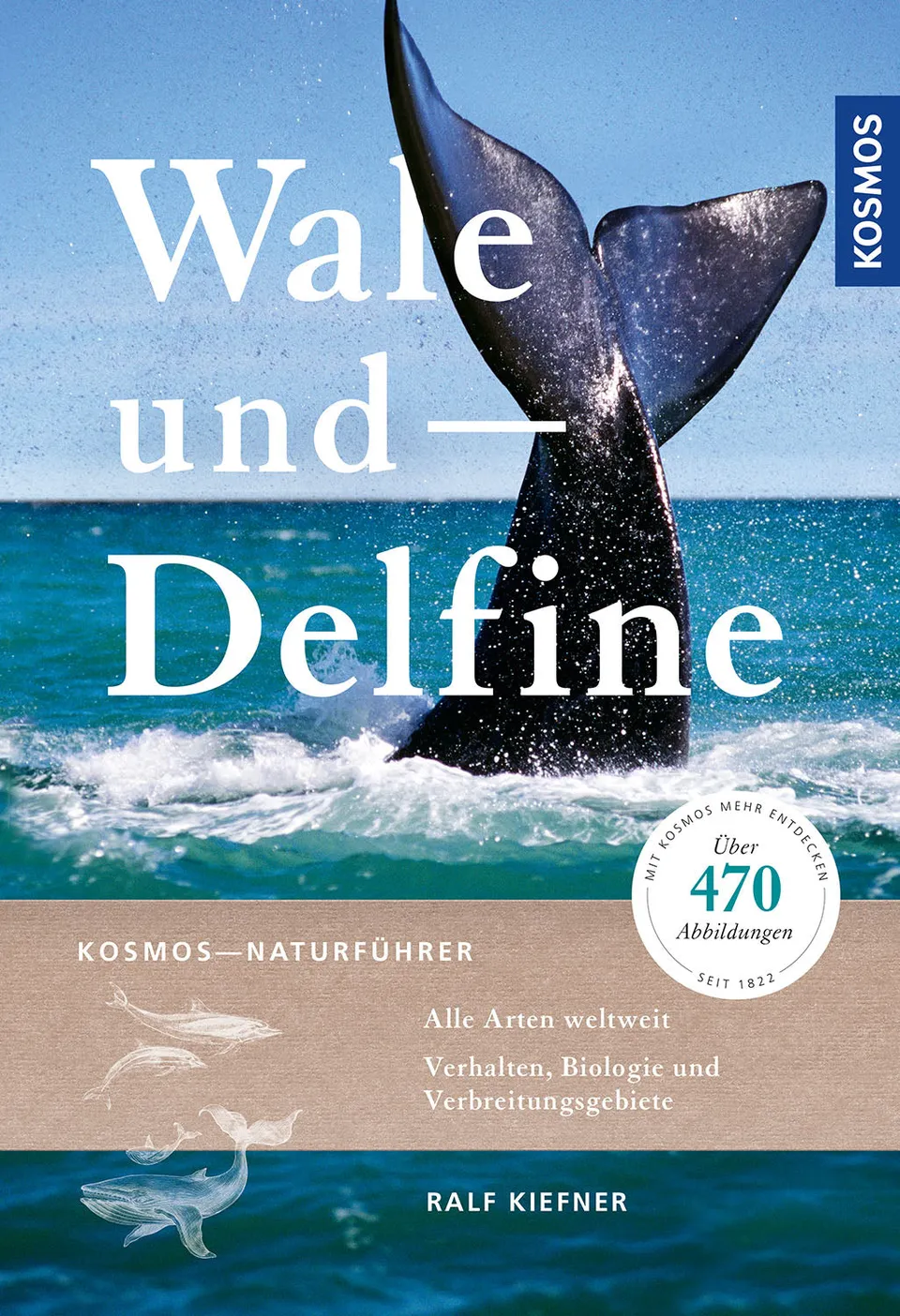 kosmos-wale-und-delfine-naturf-hrer-68-arten-whalewatching image 1