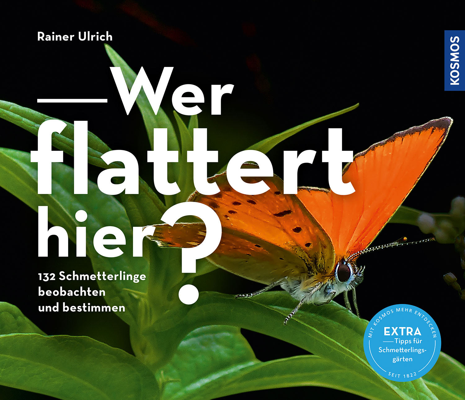 kosmos-wer-flattert-hier-schmetterlingsbuch-ebook-garten image 1