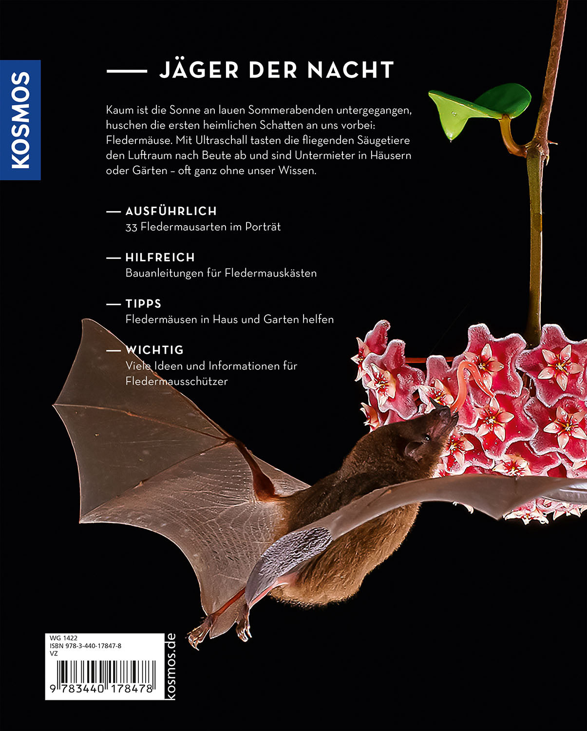 kosmos-flederm-use-buch-nachttiere-beobachten-und-sch-tzen image 2