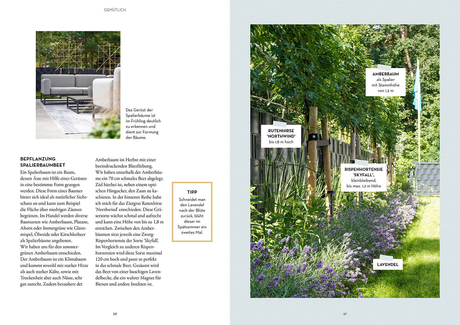 kosmos-terrassen-traum-buch-terrasse-planen-bepflanzen-diy image 5