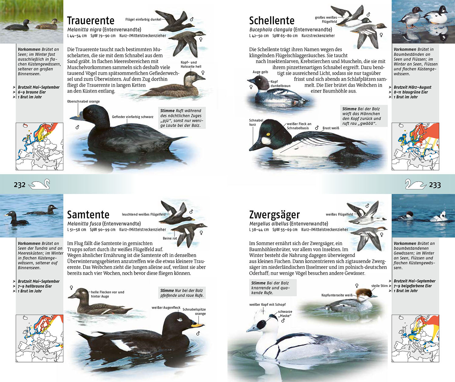 kosmos-welcher-vogel-ist-das-vogelbuch-mit-350-arten image 5