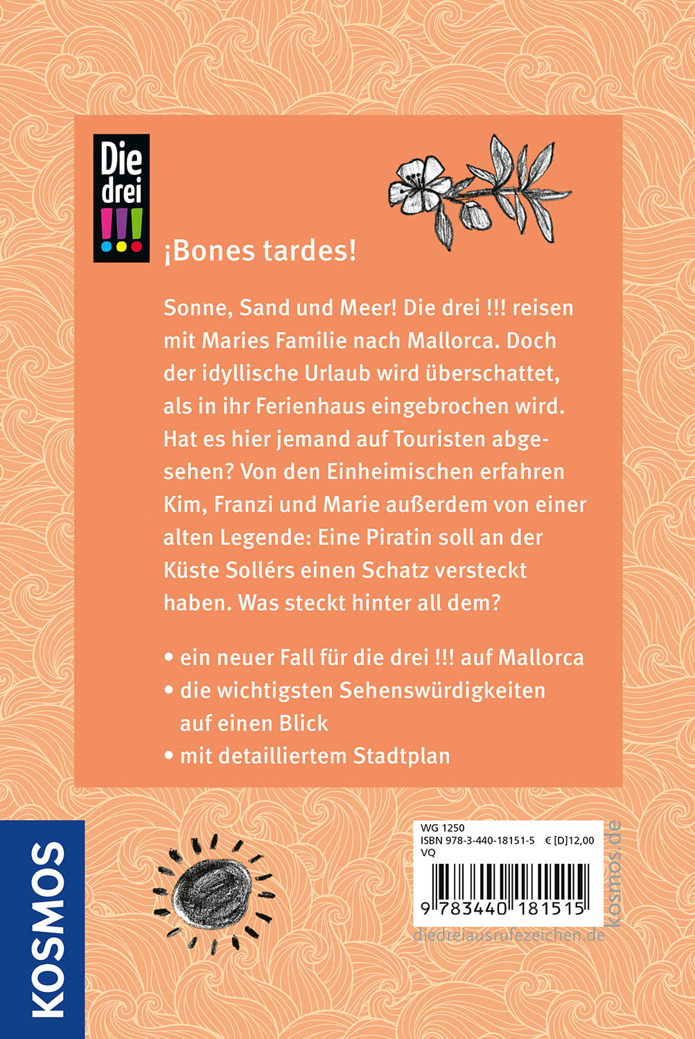 die-drei-piraten-palmen-mallorca-kinderkrimi-detektivbuch image 2