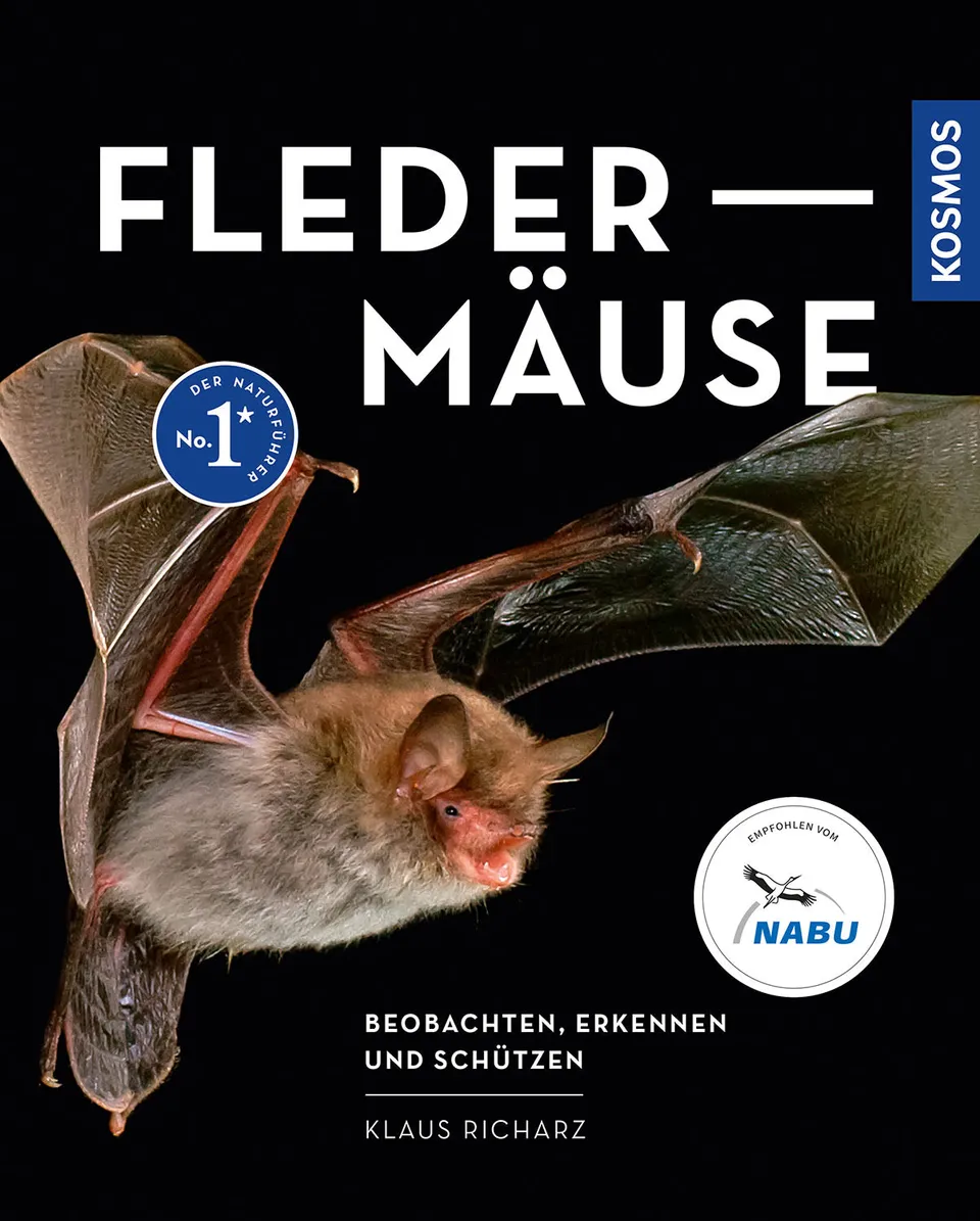 kosmos-flederm-use-ebook-nachttiere-beobachten-und-sch-tzen image 1