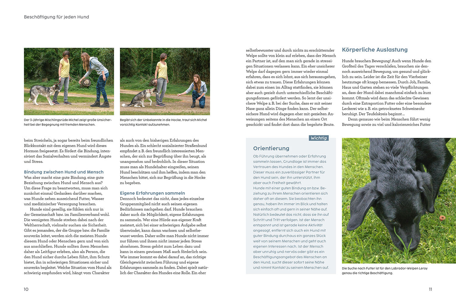 martin-r-tter-hunde-besch-ftigen-buch-hundespiele image 2