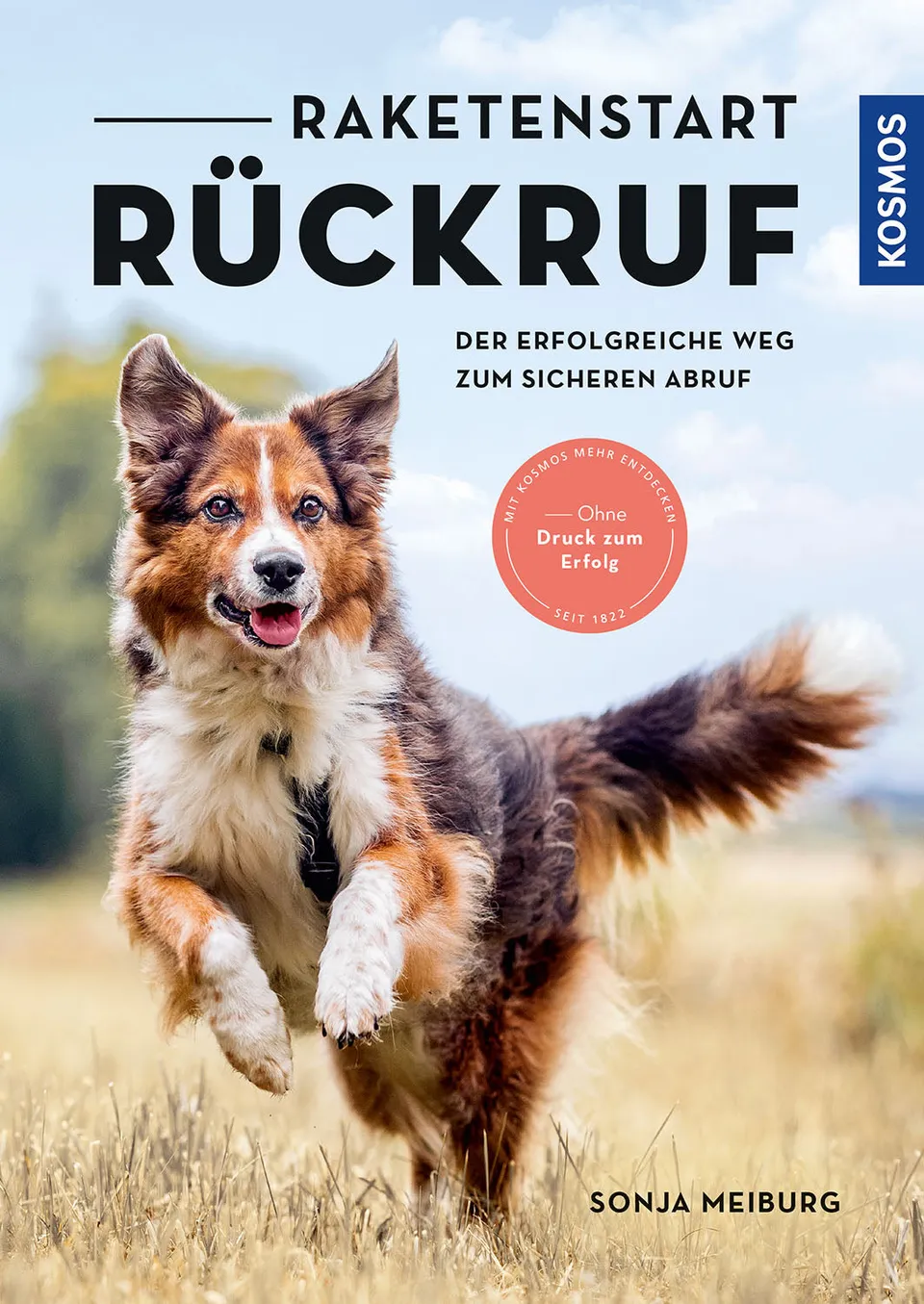 kosmos-raketenstart-r-ckruf-ebook-hundetraining image 1
