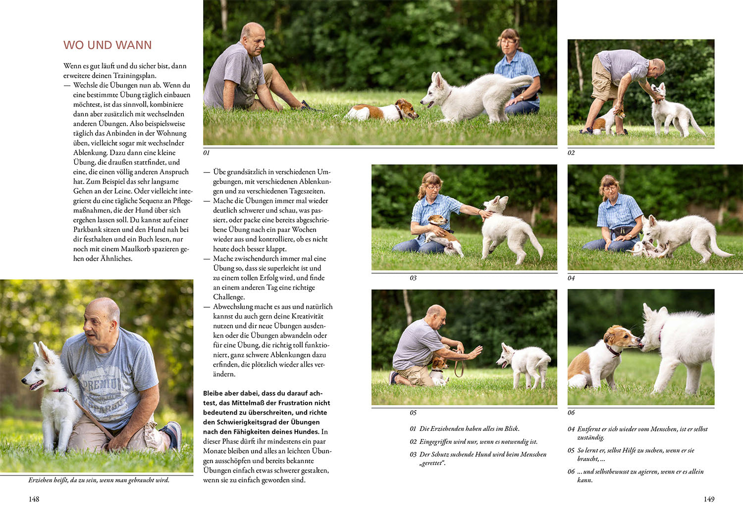 kosmos-frust-lass-nach-hunde-ratgeber-maren-grote image 5