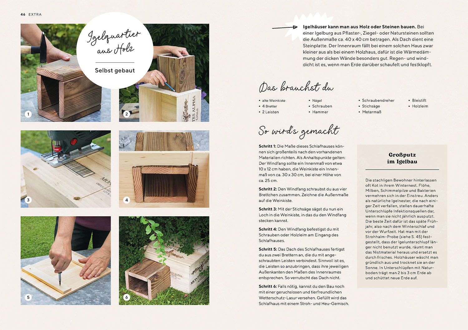 kosmos-igel-im-garten-ratgeber-neumeier-lebensraum-diy-hilfe image 5