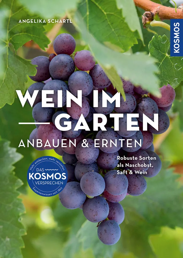 adventure-games-digital-wein-im-garten-anbauen-ernten-e-book-weinbau image 1
