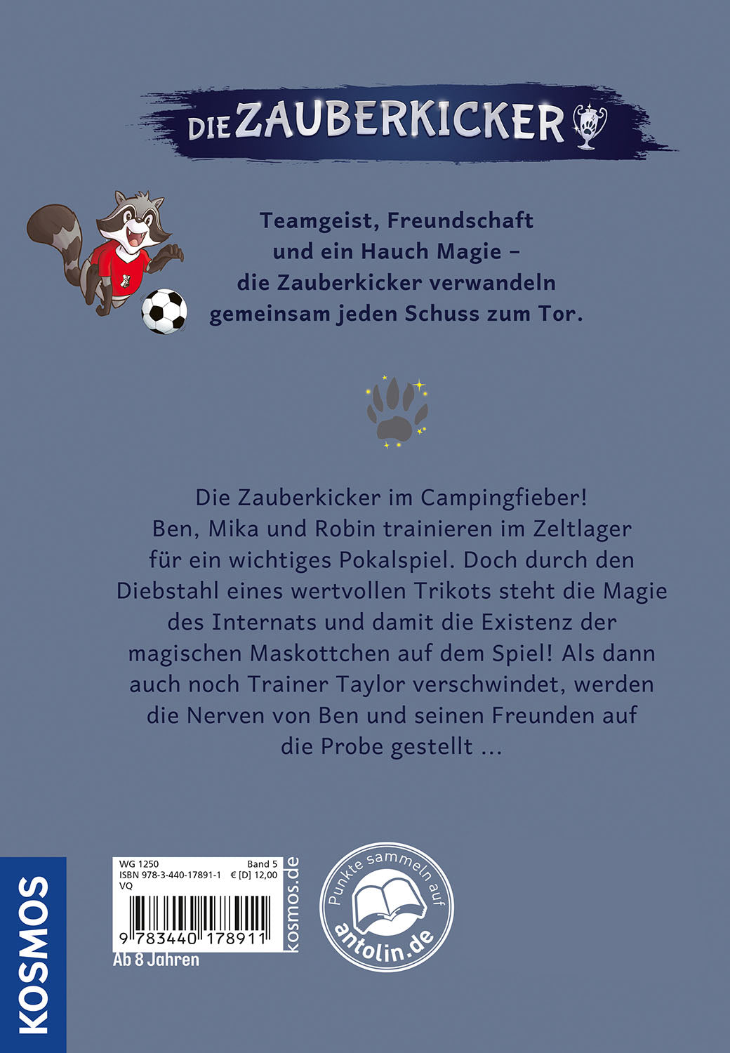 die-zauberkicker-5-schattenspiel-buch-fu-ball-tannwald-magie image 2